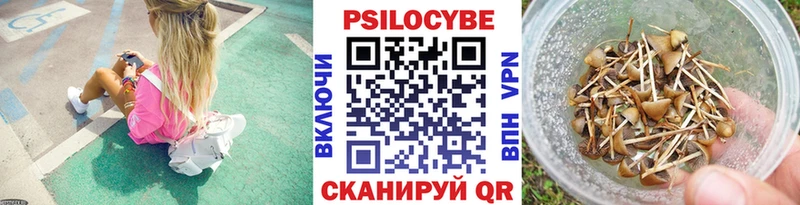 Псилоцибиновые грибы Psilocybe  ОМГ ОМГ онион  Ливны 