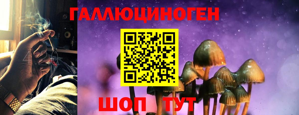 Галлюциногенные грибы Magic Shrooms Ливны