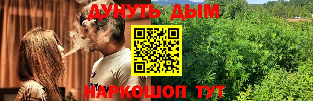 Бошки марихуана OG Kush Ливны
